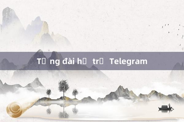 Tổng đài hỗ trợ Telegram