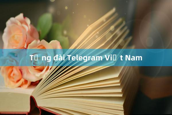 Tổng đài Telegram Việt Nam