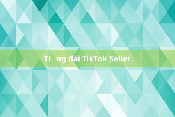 Tổng đài TikTok Seller