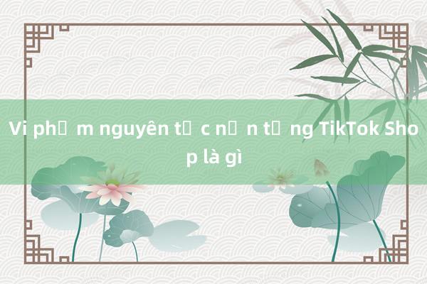 Vi phạm nguyên tắc nền tảng TikTok Shop là gì