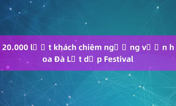 20.000 lượt khách chiêm ngưỡng vườn hoa Đà Lạt dịp Festival