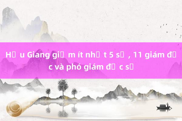 Hậu Giang giảm ít nhất 5 sở， 11 giám đốc và phó giám đốc sở