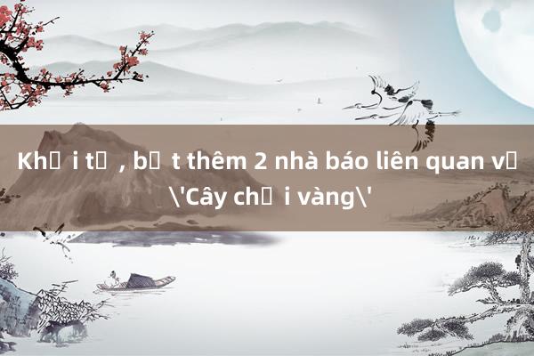 Khởi tố， bắt thêm 2 nhà báo liên quan vụ 'Cây chổi vàng'