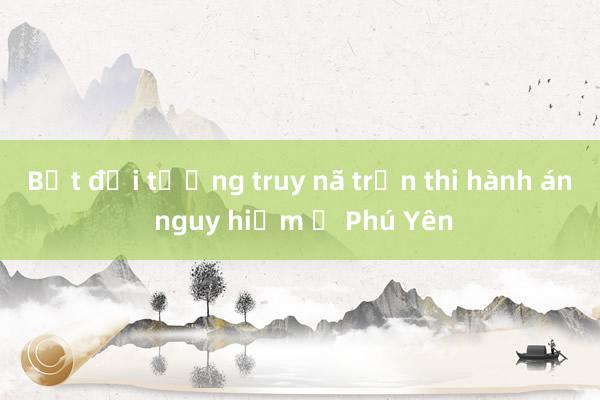 Bắt đối tượng truy nã trốn thi hành án nguy hiểm ở Phú Yên