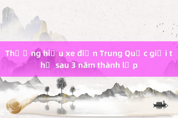 Thương hiệu xe điện Trung Quốc giải thể sau 3 năm thành lập